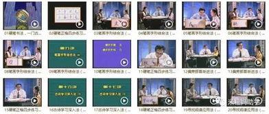 初学练字直播成人版视频,轻松入门，书写之美尽在掌握