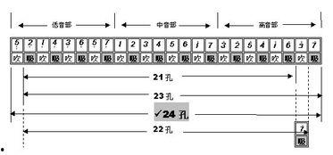 口琴成人复音教程视频,轻松入门，掌握复音技巧