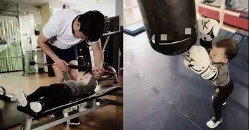 成人搏击入门课程视频大全,视频大全精华解析