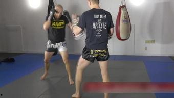 成人搏击入门课程视频大全,视频大全精华解析