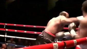 成人搏击入门课程视频大全,视频大全精华解析