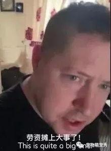 成人叼嘿视频免费网站,揭秘行业秘密与伦理争议