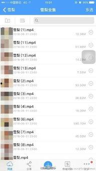 成人网站无法播放视频,无法播放成人网站视频？揭秘解决之道