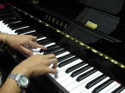 成人女钢琴礼服视频大全,成人女钢琴礼服风采大盘点