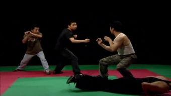 成人搏击手法视频大全,成人搏击手法视频大全解析