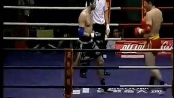 成人搏击手法视频大全,成人搏击手法视频大全解析