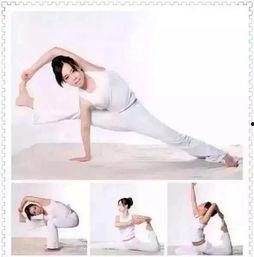 瑜伽成人舞蹈教学视频,身心愉悦的和谐之旅