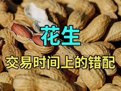 九九精品成人小视频