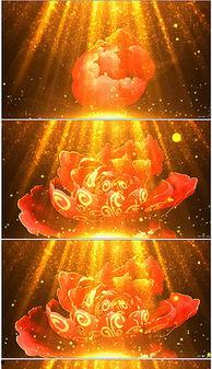 成人古典舞蹈模板视频