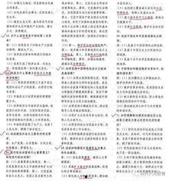 成人高招政治视频