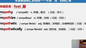 读英语的视频成人,一场跨越语言的启示之旅