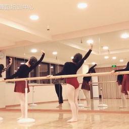 双人芭蕾成人舞蹈视频,双人芭蕾成人舞蹈视频赏析