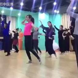 成人跳舞训练视频大全集,从入门到精通视频大全集