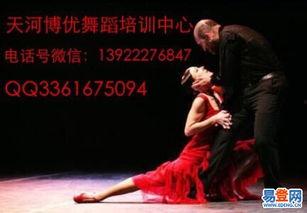 成人跳舞训练视频大全集,从入门到精通视频大全集