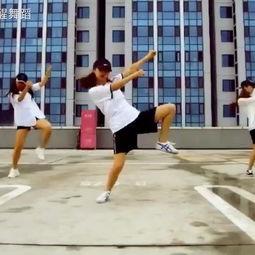 成人跳舞训练视频大全集,从入门到精通视频大全集