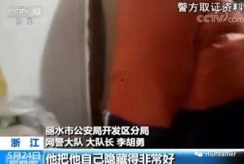 成人阴视频在线观看,在线观看背后的真相与警示