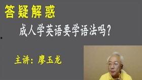 走向成人的视频教程,视频教程精华概述