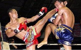 成人搏击腿法攻防视频大全,实战视频大全深度解读