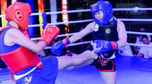 成人搏击腿法攻防视频大全,实战视频大全深度解读