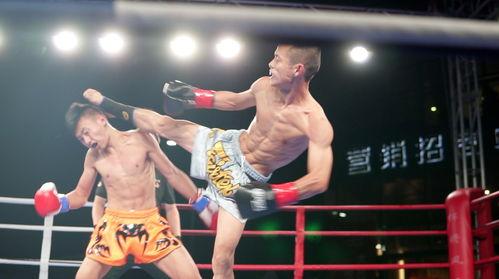 成人搏击腿法攻防视频大全,实战视频大全深度解读