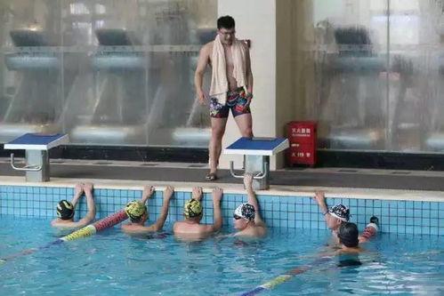 成人游泳学员视频在线,成人游泳学员的进步之路