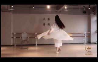 成人舞蹈模拟课教学视频,跟随教学视频解锁成人舞蹈新技能