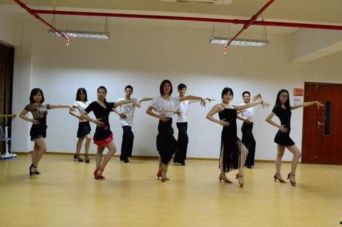 丹心舞蹈成人教学视频