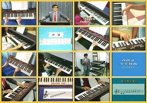 成人乐器展示视频教程,跟随视频教程掌握成人乐器演奏技巧