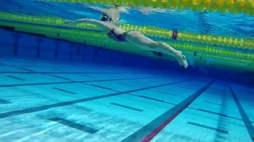 成人学蛙泳课程视频教学