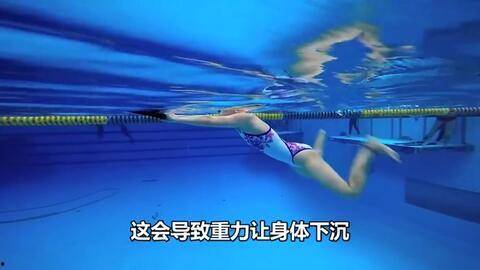 成人学蛙泳课程视频教学