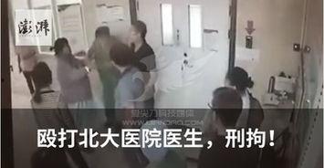 成人坐牢视频真实,揭秘成人坐牢的真实生活片段