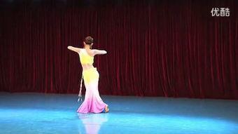 欣乐坊成人舞蹈教学视频,轻松入门，舞动人生