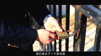 母鸡成人类下蛋视频