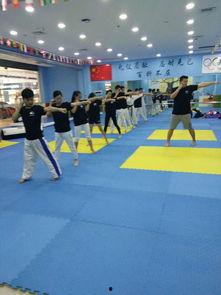 跆拳道对打视频成人